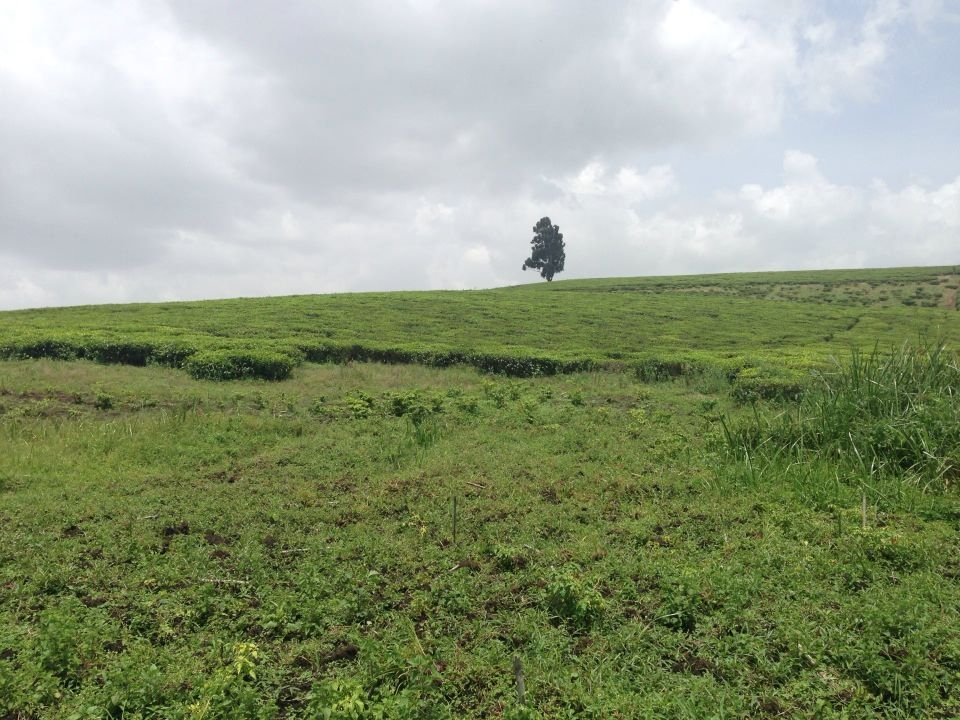 11139925_1002072659821213_1951988955_n